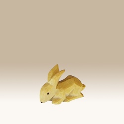 hase-asend1n