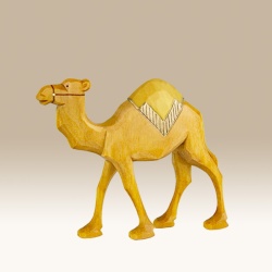 kamel-lauf_-gd-9cm-f_1_159993016