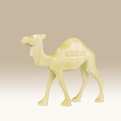 kamel-lauf_-grd-9cm-n