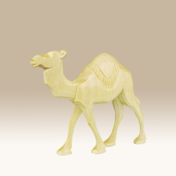 kamel-lauf_-rd-9cm-n