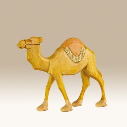 kamel-lauf__rd-9cm-f_1