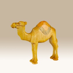 kamel-steh_-rd-9cm-f