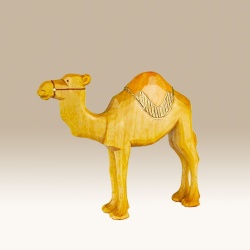 kamel-steh_-rd-9cm-f_727850536