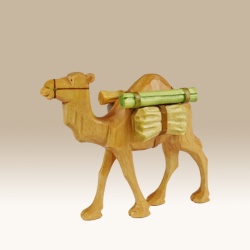 lastkamel-2_1-9cm-f