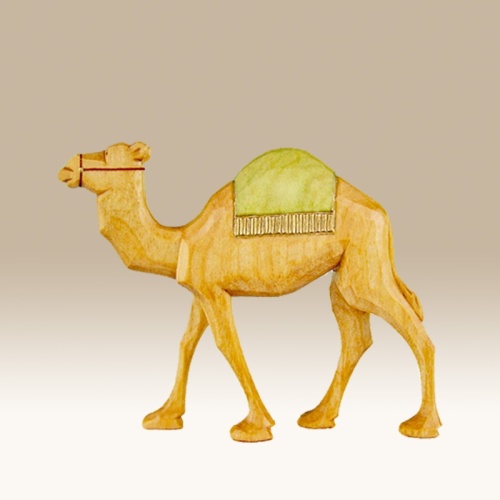 kamel-lauf_-grd-9cm-f_2